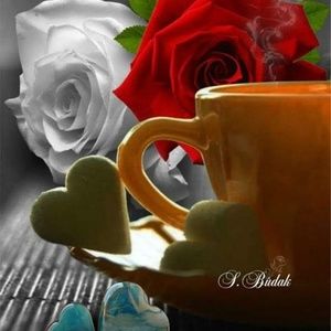 Meet your Posher, Dora